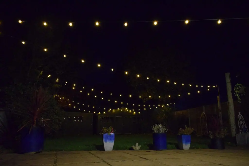 Festoon Lights 1