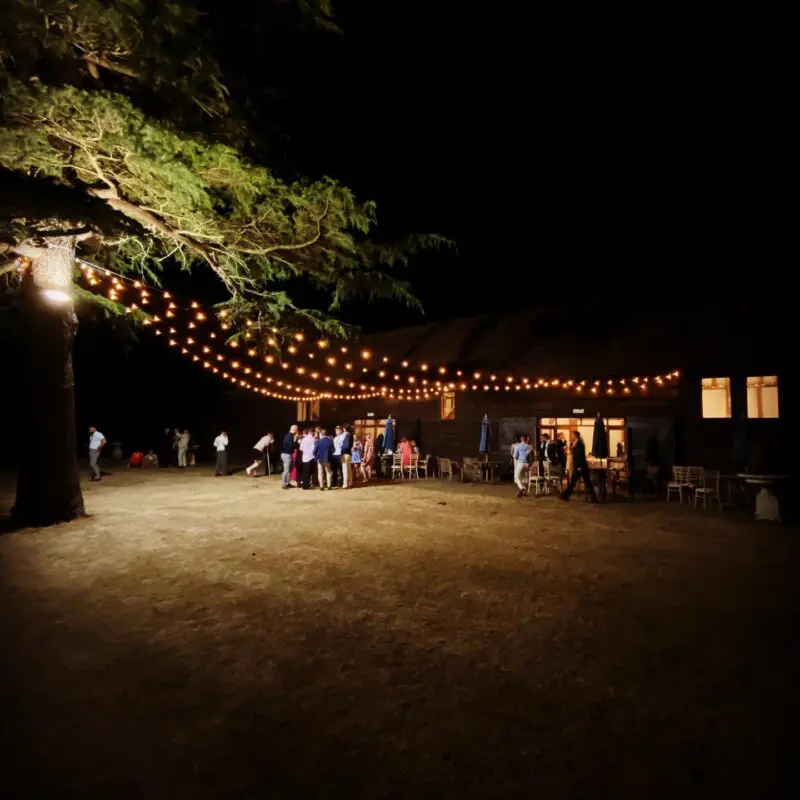 Partylights - Loseley Park - Festoon from tree to barn