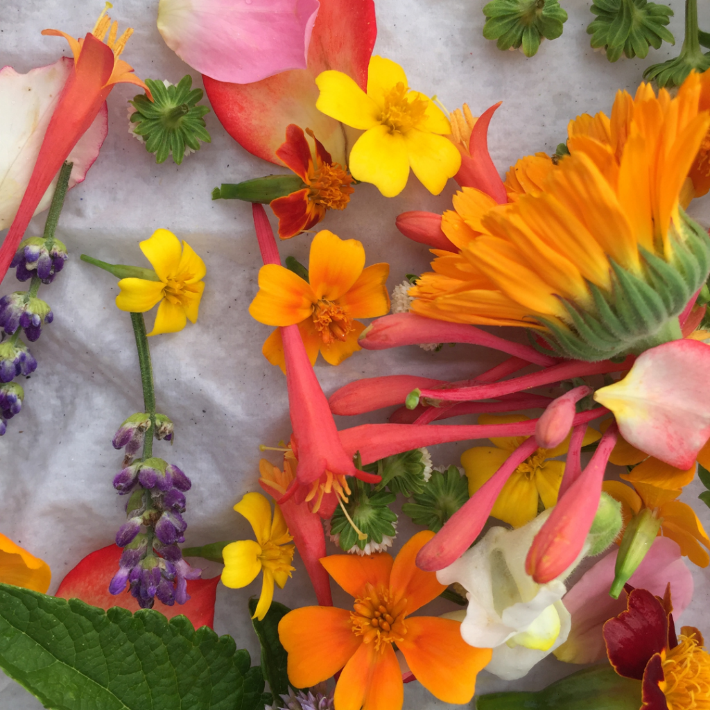 orange and yellow edible flower arrangement displayed on the table