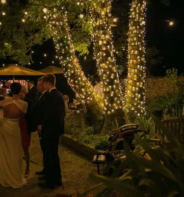 Trees decorated in outdoor fairy lights