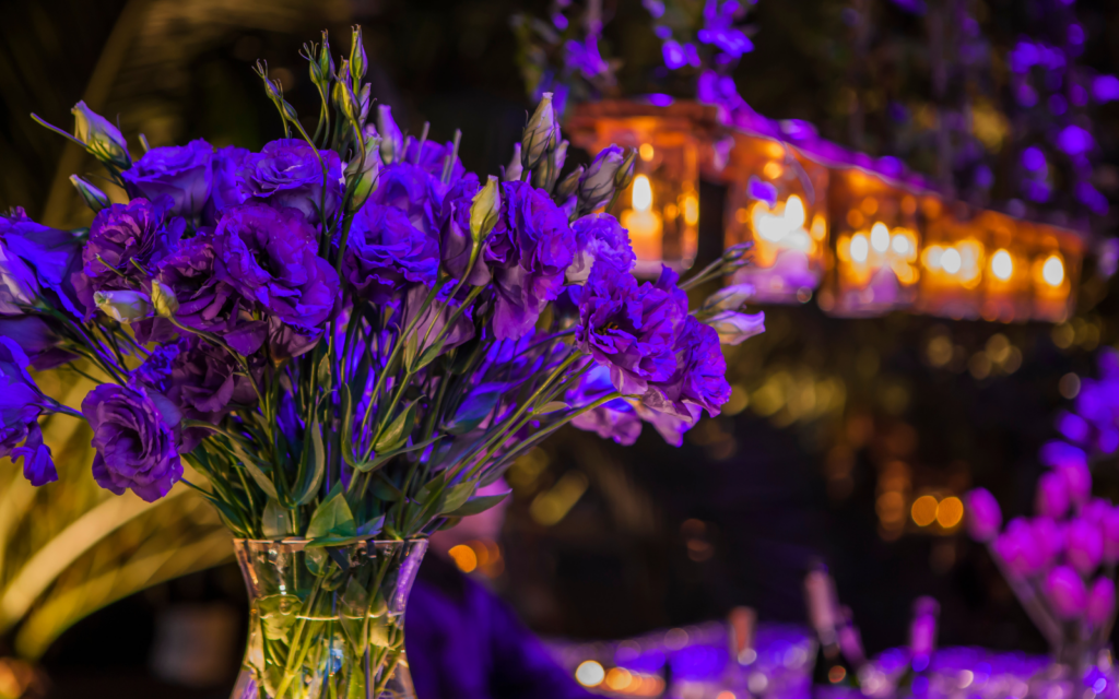 purple flowers and purple lights in the background