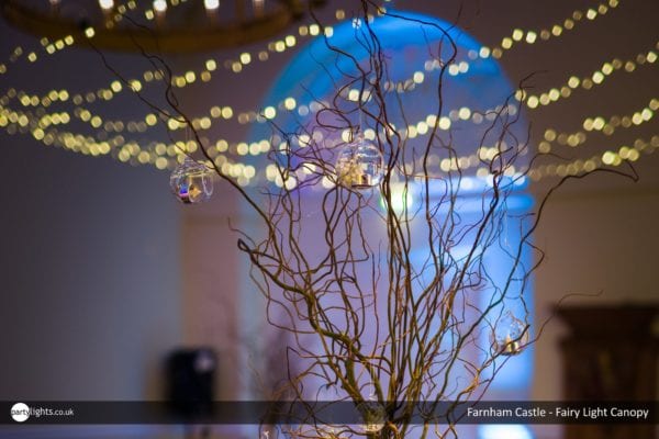 Farnham Castle - Fairy Light Canopy - wedding lights