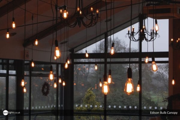 Wedding lighting - Edison bulbs