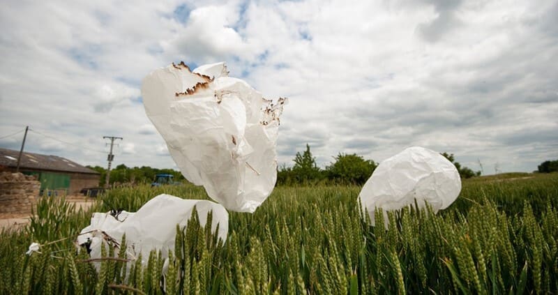 paper lanterns littering a wheat field