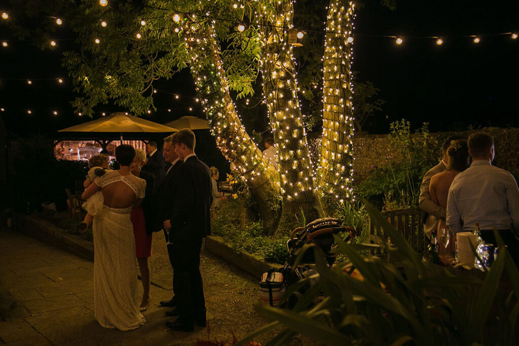 Trees decorated in outdoor fairy lights